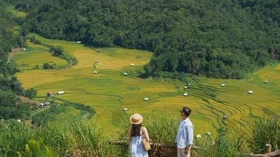 Về Kon Tu Rằng ngắm mùa lúa chín đẹp như tranh vẽ