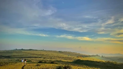 Thảo nguyên Bùi Hui vào mùa đẹp nhất, dân mê xê dịch đổ về