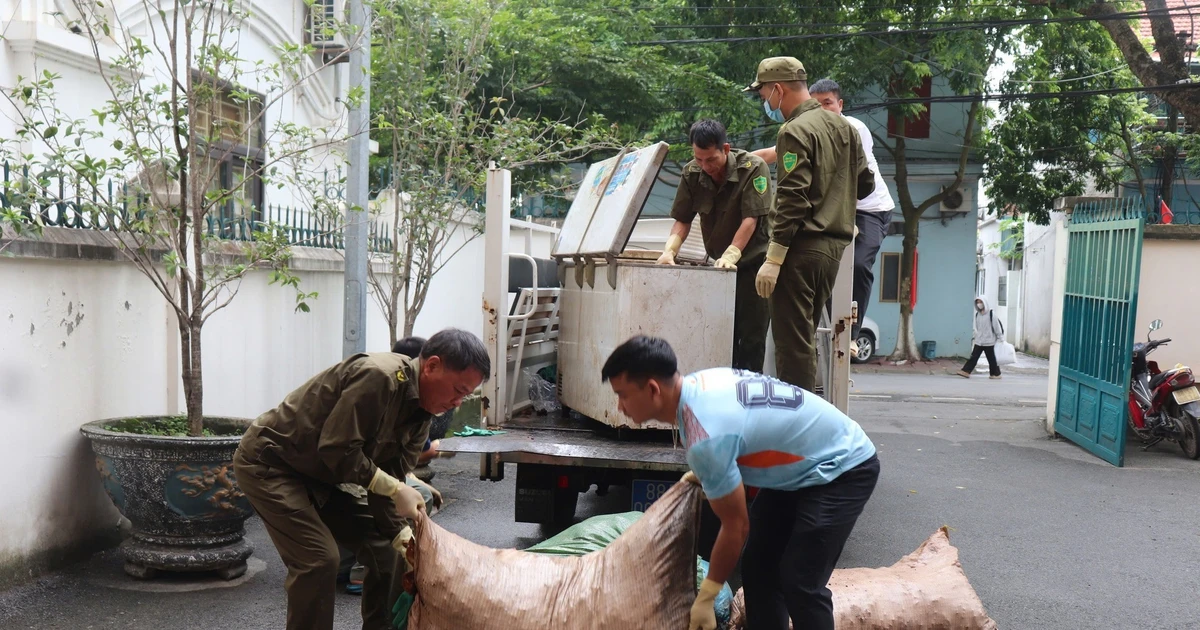 Phát hiện cơ sở chế biến chui số lượng lớn mỡ lợn bẩn ở Phú Thọ