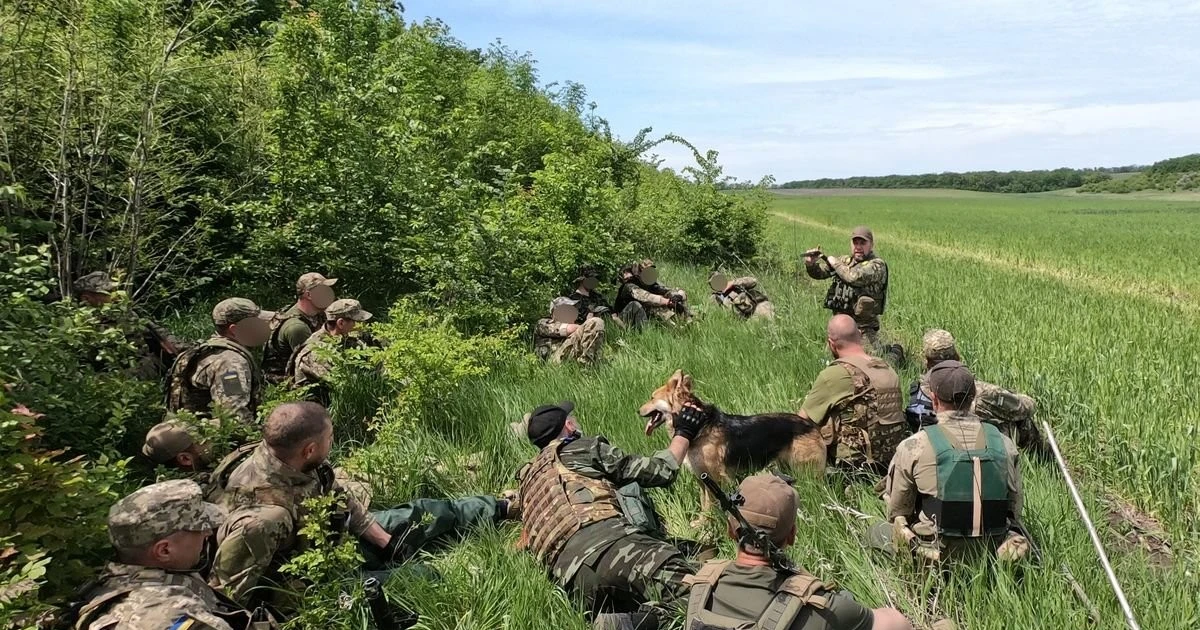 Tình hình Quân đội Ukraine ở mặt trận Pokrovsk hiện như thế nào?