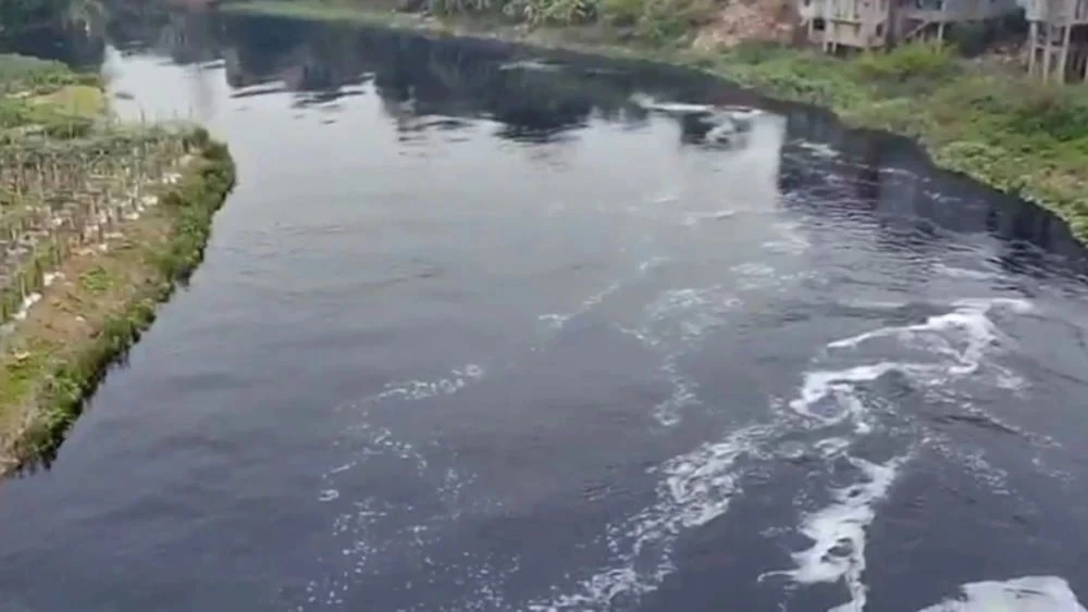 View - Công ty Mạnh Thành xả thải trực tiếp ra sông, ô nhiễm vượt chuẩn | Báo Tri thức và Cuộc sống - TIN TỨC PHỔ BIẾN KIẾN THỨC 24H