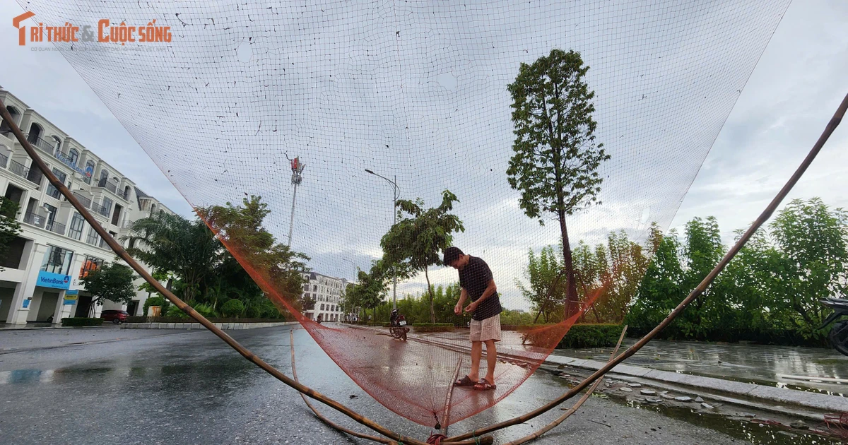 View - Nước ngập tràn, người dân Hà Nội đổ xô tung lưới bắt cá | Báo Tri thức và Cuộc sống - TIN TỨC PHỔ BIẾN KIẾN THỨC 24H