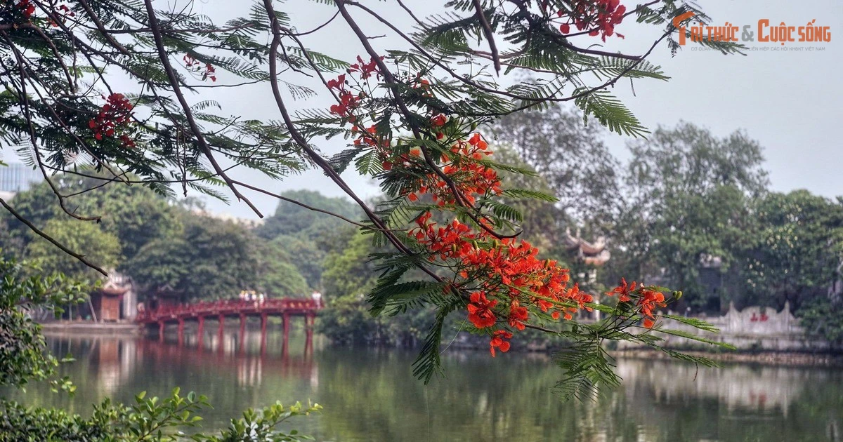 View - Sự thật thú vị ít người biết về hồ nước huyền thoại ở Hà Nội | Báo Tri thức và Cuộc sống - TIN TỨC PHỔ BIẾN KIẾN THỨC 24H