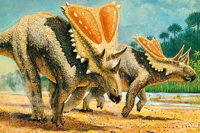 View - Sinh vật sở hữu chiếc khiên chắn độc nhất vô nhị thế giới khủng long | Báo Tri thức và Cuộc sống - TIN TỨC PHỔ BIẾN KIẾN THỨC 24H