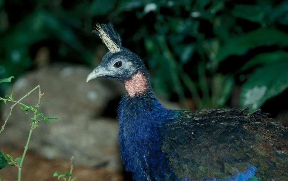 View - Những điều có 1-0-2 ở vườn quốc gia lớn nhất châu Phi | Báo Tri thức và Cuộc sống - TIN TỨC PHỔ BIẾN KIẾN THỨC 24H