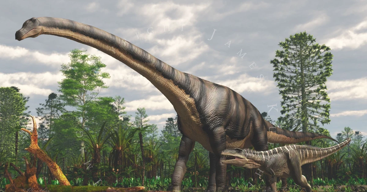 View - Sốc với loài vật lớn nhất hành tinh, nặng bằng 18 con voi | Báo Tri thức và Cuộc sống - TIN TỨC PHỔ BIẾN KIẾN THỨC 24H