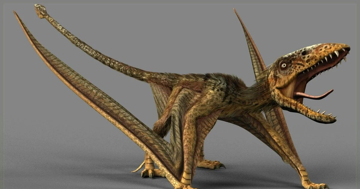 View - Tận mục loài thằn lằn bay cổ xưa nhất từng được phát hiện | Báo Tri thức và Cuộc sống - TIN TỨC PHỔ BIẾN KIẾN THỨC 24H