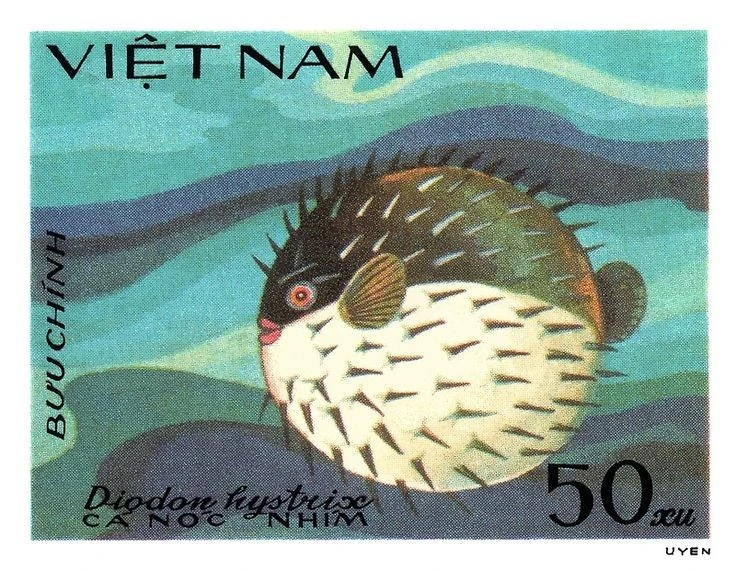 View - Cận cảnh loài cá 'khó nuốt' nhất hành tinh, không kẻ nào dám đụng | Báo Tri thức và Cuộc sống - TIN TỨC PHỔ BIẾN KIẾN THỨC 24H