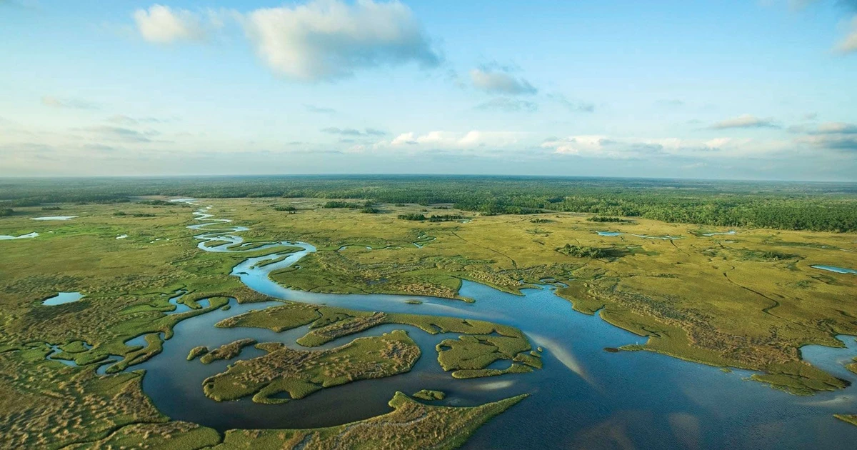 View - Tận mục dòng sông cỏ khổng lồ, độc nhất thế giới ở Mỹ | Báo Tri thức và Cuộc sống - TIN TỨC PHỔ BIẾN KIẾN THỨC 24H