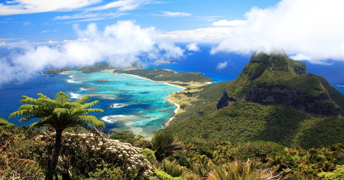 View - Côn trùng khổng lồ có 1-0-2 ở quần đảo 'hoang sơ tuyệt đối' | Báo Tri thức và Cuộc sống - TIN TỨC PHỔ BIẾN KIẾN THỨC 24H