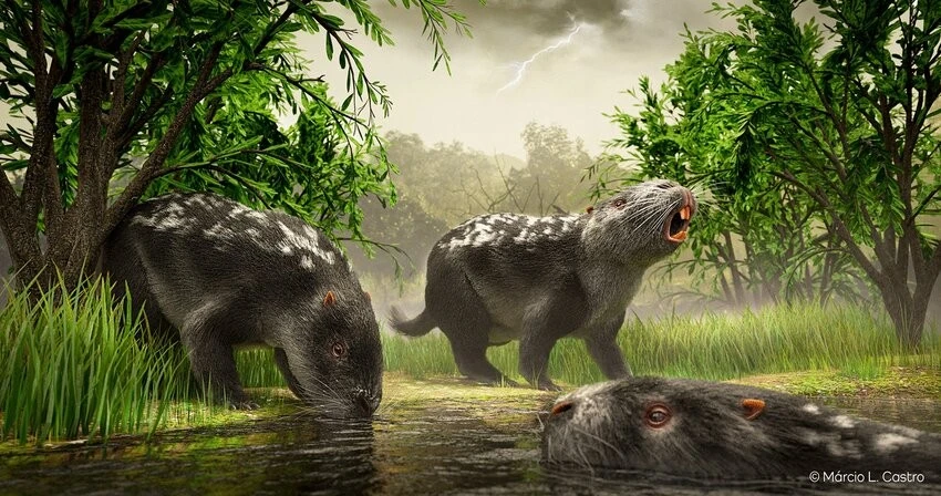 Loài chuột khổng lồ từng thống trị Trái Đất, to như trâu mộng