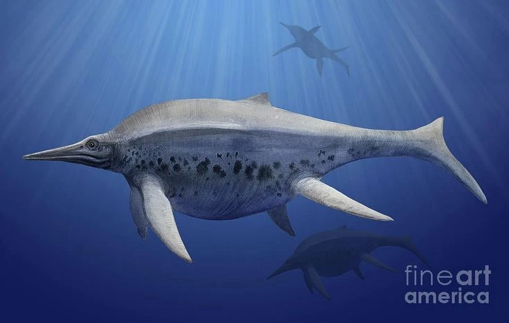 Tìm thấy thằn lằn cá khổng lồ 21m từng bá chủ đại dương