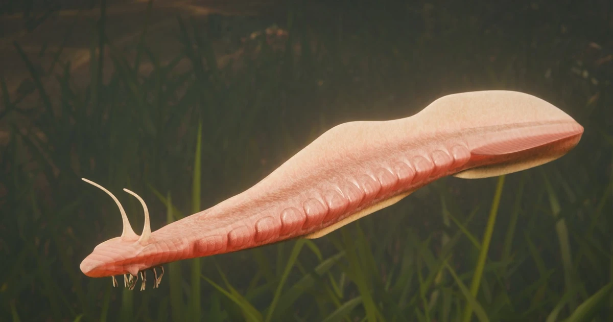 View - Sinh vật được coi là 'ông tổ' của mọi loài động vật có xương sống | Báo Tri thức và Cuộc sống - TIN TỨC PHỔ BIẾN KIẾN THỨC 24H