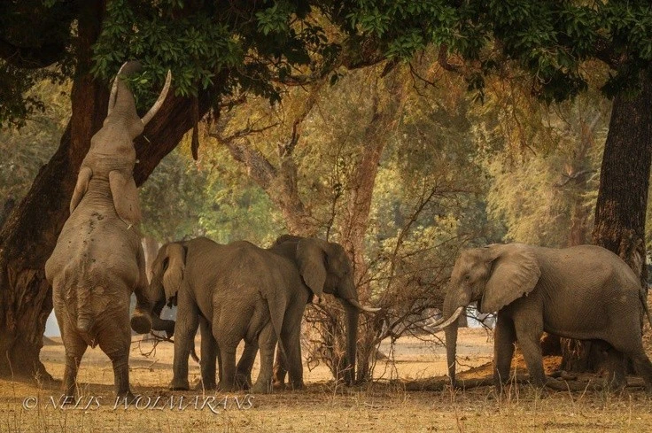 View - Cảnh tượng kỳ diệu 'vùng đất của hồ nước thần linh' hoang sơ nhất châu Phi | Báo Tri thức và Cuộc sống - TIN TỨC PHỔ BIẾN KIẾN THỨC 24H