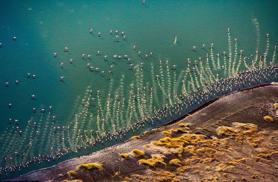 View - Chiêm ngưỡng hồ kiềm lớn nhất thế giới ở nơi 'cái nôi của loài người' | Báo Tri thức và Cuộc sống - TIN TỨC PHỔ BIẾN KIẾN THỨC 24H