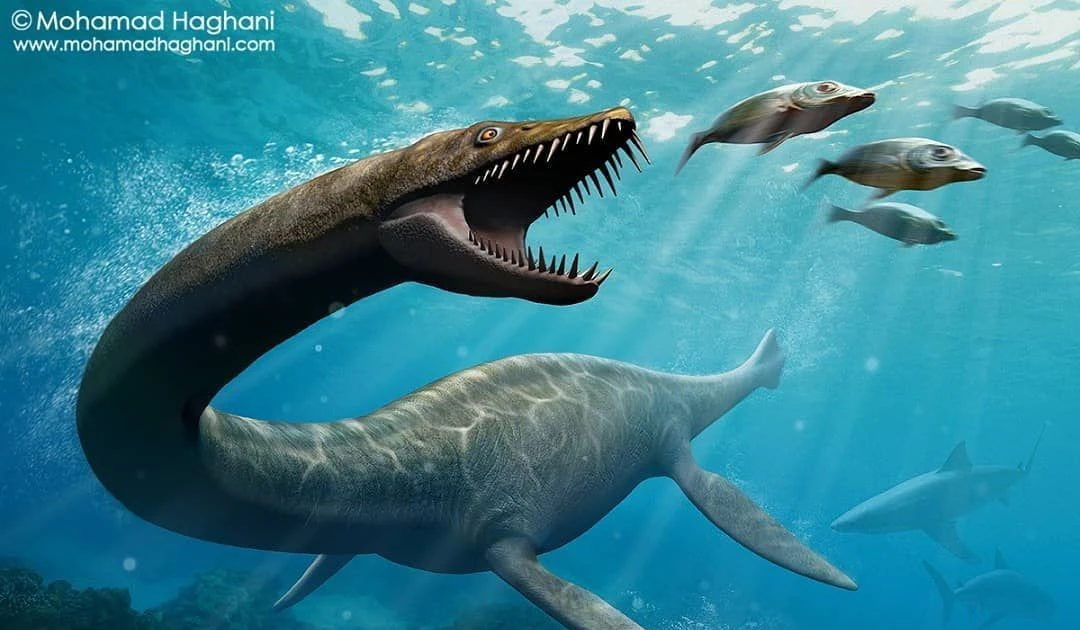 View - Kinh sợ loài quái vật được mệnh danh "Chúa tể biển sâu" kỷ Phấn Trắng | Báo Tri thức và Cuộc sống - TIN TỨC PHỔ BIẾN KIẾN THỨC 24H