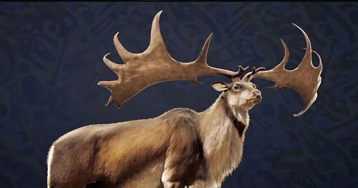 Huyền thoại thần thú Ireland: Loài nai khổng lồ với sừng như cánh quạt
