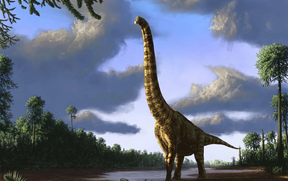 View - Tận mục loài khủng long cao nhất từng được phát hiện | Báo Tri thức và Cuộc sống - TIN TỨC PHỔ BIẾN KIẾN THỨC 24H