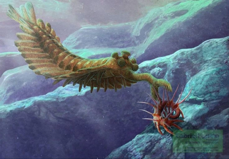 View - Quái vật 5 mắt thời Cambri, vòi như máy hút bụi | Báo Tri thức và Cuộc sống - TIN TỨC PHỔ BIẾN KIẾN THỨC 24H