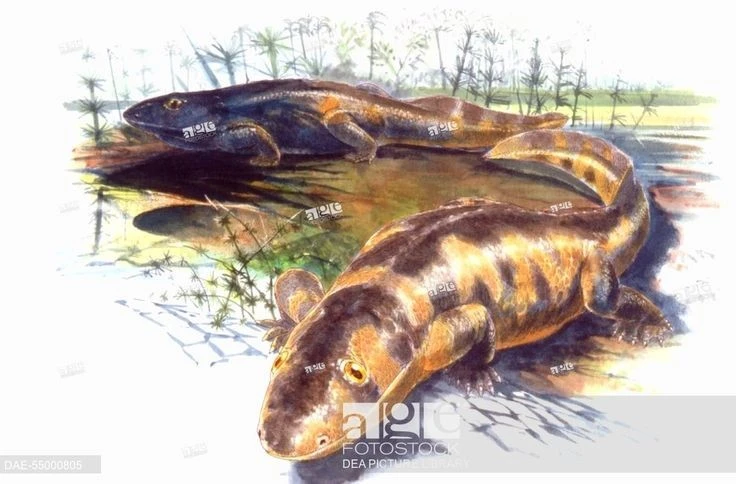 View - Tận mục loài động vật có xương sống đầu tiên rời môi trường nước | Báo Tri thức và Cuộc sống - TIN TỨC PHỔ BIẾN KIẾN THỨC 24H