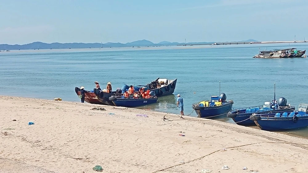 View - Biết gì về công ty Đông Bắc A vừa động thổ mỏ cát lớn? | Báo Tri thức và Cuộc sống - TIN TỨC PHỔ BIẾN KIẾN THỨC 24H