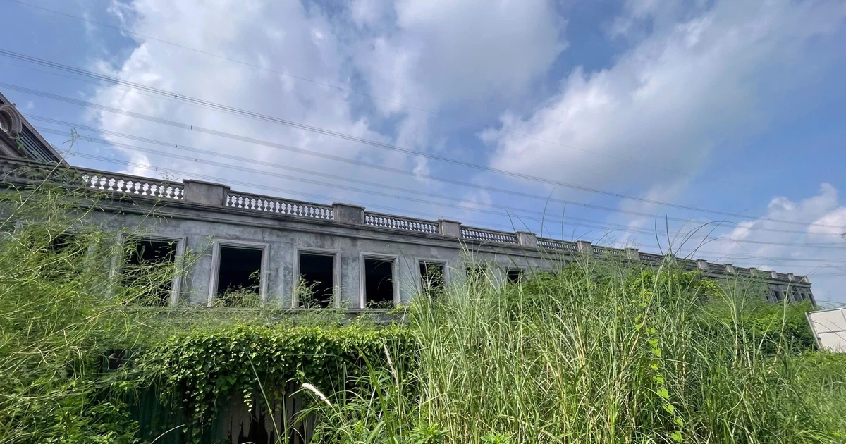 View - Cận cảnh công trình sát đường điện cao thế, cỏ mọc um tùm | Báo Tri thức và Cuộc sống - TIN TỨC PHỔ BIẾN KIẾN THỨC 24H
