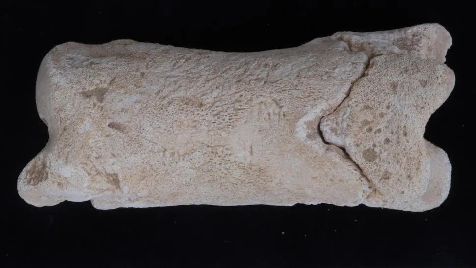 View - Bí ẩn cuộc sống người canh giữ lăng mộ qua chiếc còi xương cổ | Báo Tri thức và Cuộc sống - TIN TỨC PHỔ BIẾN KIẾN THỨC 24H