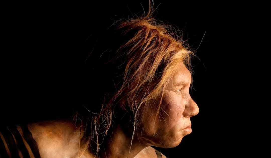 View - Hộp sọ người Neanderthal được bảo quản hoàn hảo hé lộ điều không ngờ | Báo Tri thức và Cuộc sống - TIN TỨC PHỔ BIẾN KIẾN THỨC 24H