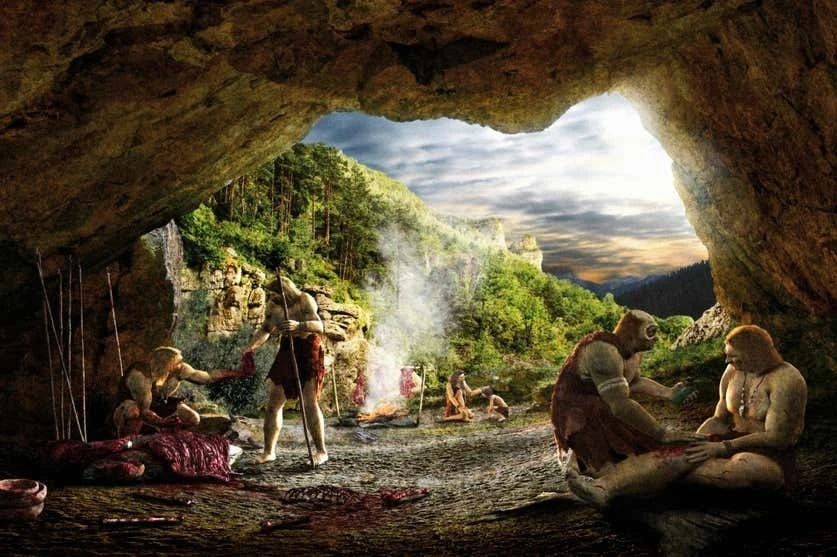 View - Phát hiện khó tin về "nhà máy mỡ" của người cổ đại | Báo Tri thức và Cuộc sống - TIN TỨC PHỔ BIẾN KIẾN THỨC 24H