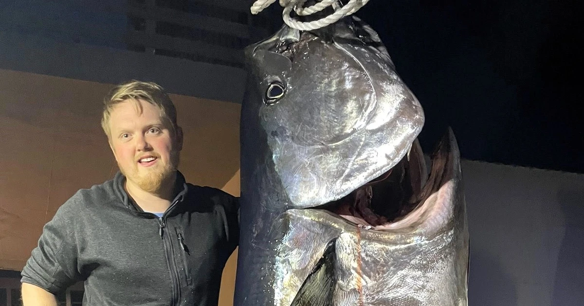 View - Cá ngừ khủng 280kg dài 2,4 mét khiến cần thủ ngỡ ngàng | Báo Tri thức và Cuộc sống - TIN TỨC PHỔ BIẾN KIẾN THỨC 24H