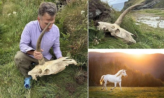 View -  Phát hiện hộp sọ có sừng kỳ lạ gần lâu đài Vua Arthur | Báo Tri thức và Cuộc sống - TIN TỨC PHỔ BIẾN KIẾN THỨC 24H