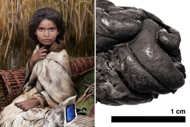 View - Chuyên gia phục hồi bộ gene người từ "bã kẹo cao su" 5.700 tuổi | Báo Tri thức và Cuộc sống - TIN TỨC PHỔ BIẾN KIẾN THỨC 24H