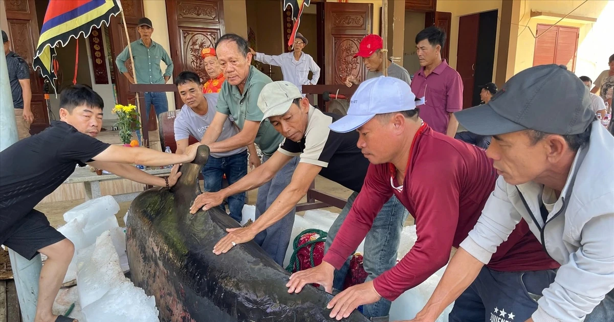 View - Điều đặc biệt trong nghi lễ an táng cá voi ở Việt Nam | Báo Tri thức và Cuộc sống - TIN TỨC PHỔ BIẾN KIẾN THỨC 24H