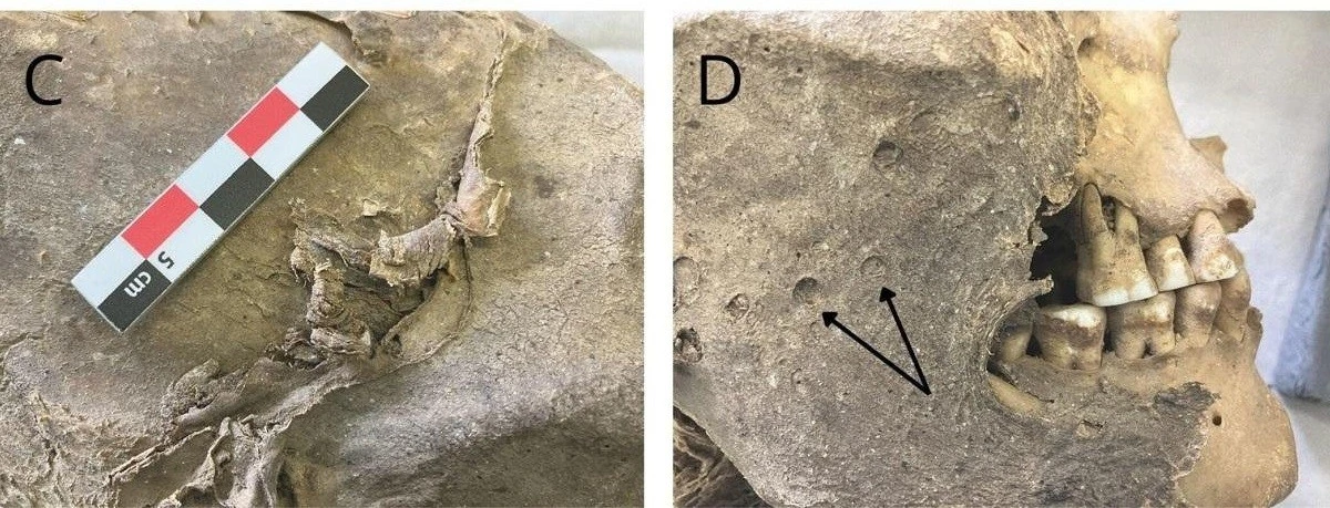 View - Tìm ra danh tính xác ướp chỉ có phần đầu sau hơn 100 năm | Báo Tri thức và Cuộc sống - TIN TỨC PHỔ BIẾN KIẾN THỨC 24H