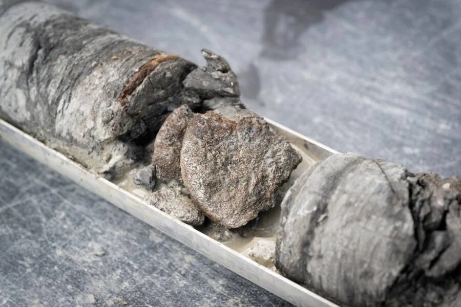 View - Tìm thấy hóa thạch khủng long dưới bãi đậu xe của bảo tàng | Báo Tri thức và Cuộc sống - TIN TỨC PHỔ BIẾN KIẾN THỨC 24H