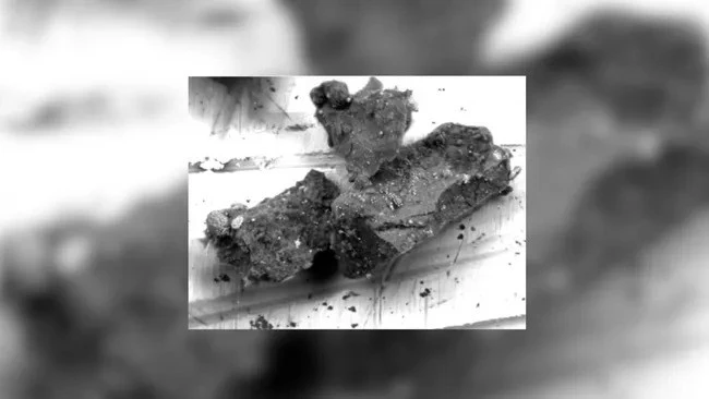 View - Thông tin mới về mẫu đá được đưa về từ tiểu hành tinh Ryugu | Báo Tri thức và Cuộc sống - TIN TỨC PHỔ BIẾN KIẾN THỨC 24H