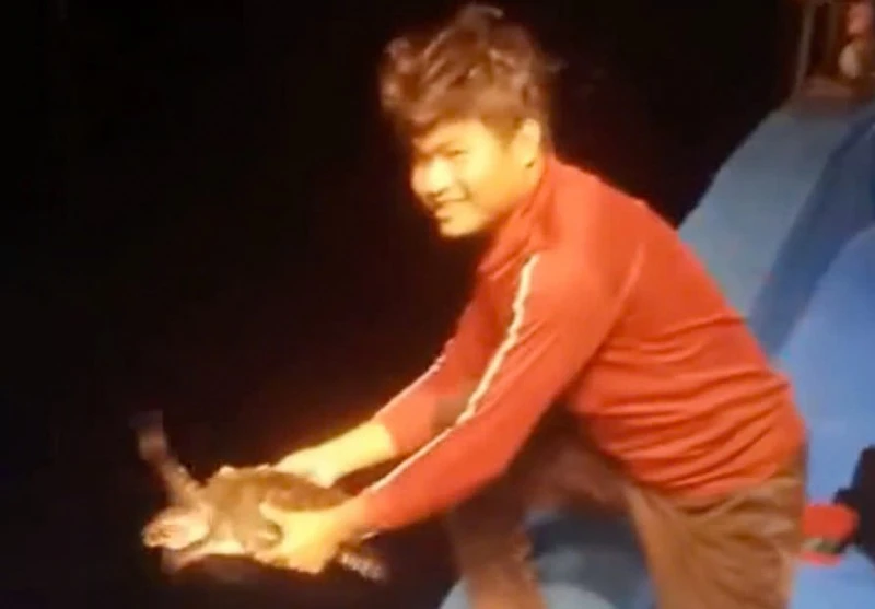 View - Cảm động khoảnh khắc ngư dân Gia Lai thả rùa quý về biển | Báo Tri thức và Cuộc sống - TIN TỨC PHỔ BIẾN KIẾN THỨC 24H