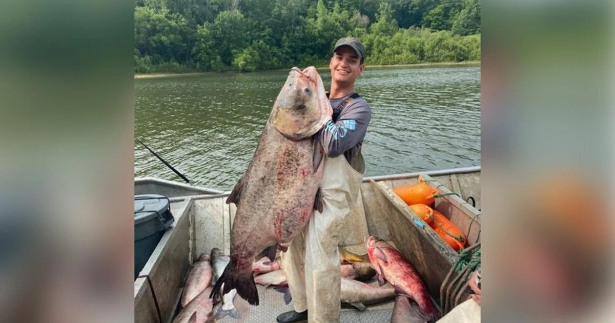 View - Cá mè 50kg và loạt thủy quái khủng từng lọt lưới ngư phủ | Báo Tri thức và Cuộc sống - TIN TỨC PHỔ BIẾN KIẾN THỨC 24H