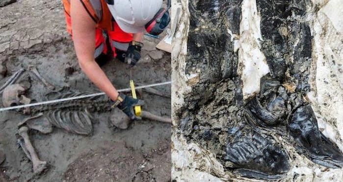 View - Bí ẩn thi thể 500 tuổi đi ủng da cao đến đùi | Báo Tri thức và Cuộc sống - TIN TỨC PHỔ BIẾN KIẾN THỨC 24H