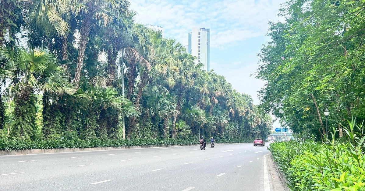 Dự báo thời tiết ngày 14/9: Hà Nội ngày nắng, chiều tối mưa dông