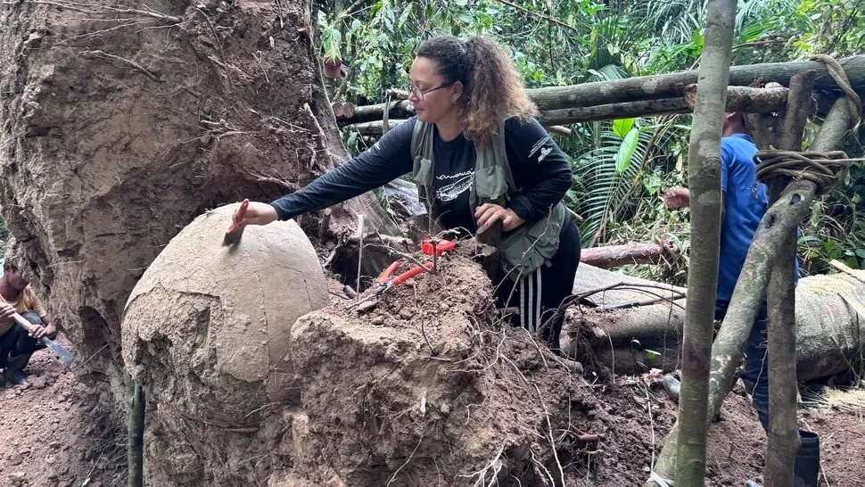 View - Bí ẩn bình đựng tro cốt khổng lồ trong rừng rậm Amazon | Báo Tri thức và Cuộc sống - TIN TỨC PHỔ BIẾN KIẾN THỨC 24H