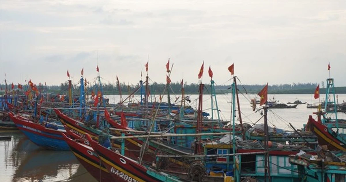 Nghệ An cấm tàu thuyền ra khơi từ 10h ngày 5/10 để tránh bão số 11