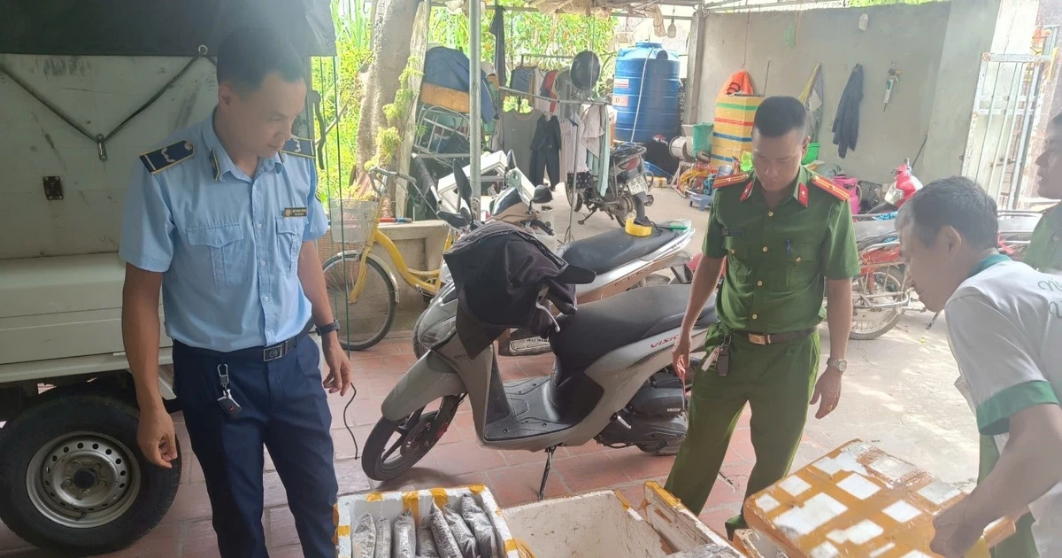 Thanh Hóa phát hiện cơ sở kinh doanh trên 1 tấn thực phẩm bốc mùi