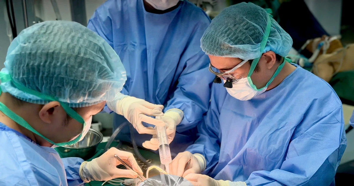 Gallery - Nữ điều dưỡng hiến tạng thắp sáng những cuộc đời mới | Báo Tri thức và Cuộc sống - TIN TỨC PHỔ BIẾN KIẾN THỨC 24H