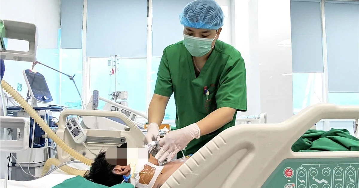 View - Nguy kịch vì vi khuẩn não mô cầu, dễ nhầm lẫn với liên cầu khuẩn lợn | Báo Tri thức và Cuộc sống - TIN TỨC PHỔ BIẾN KIẾN THỨC 24H