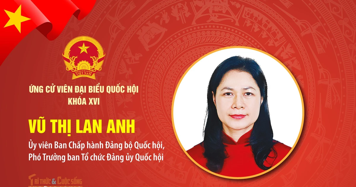 View - [Infographic] Tiểu sử bà Vũ Thị Lan Anh ứng cử Đại biểu Quốc hội khóa XVI | Báo Tri thức và Cuộc sống - TIN TỨC PHỔ BIẾN KIẾN THỨC 24H