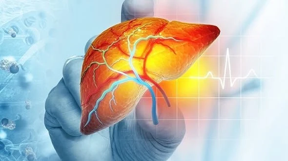 Gallery - Bỏ ngay 5 không này khi đang dùng sản phẩm hỗ trợ 'giải độc gan' | Báo Tri thức và Cuộc sống - TIN TỨC PHỔ BIẾN KIẾN THỨC 24H