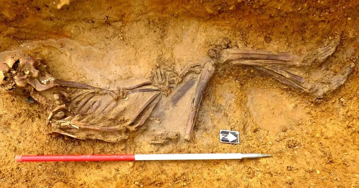 View - Cách chuyên gia xác định giới tính thi hài cổ đúng tới 95% | Báo Tri thức và Cuộc sống - TIN TỨC PHỔ BIẾN KIẾN THỨC 24H