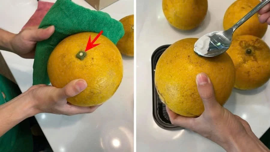 View - Bí kíp đơn giản giúp cam, bưởi tươi cả tháng mà không cần tủ lạnh | Báo Tri thức và Cuộc sống - TIN TỨC PHỔ BIẾN KIẾN THỨC 24H