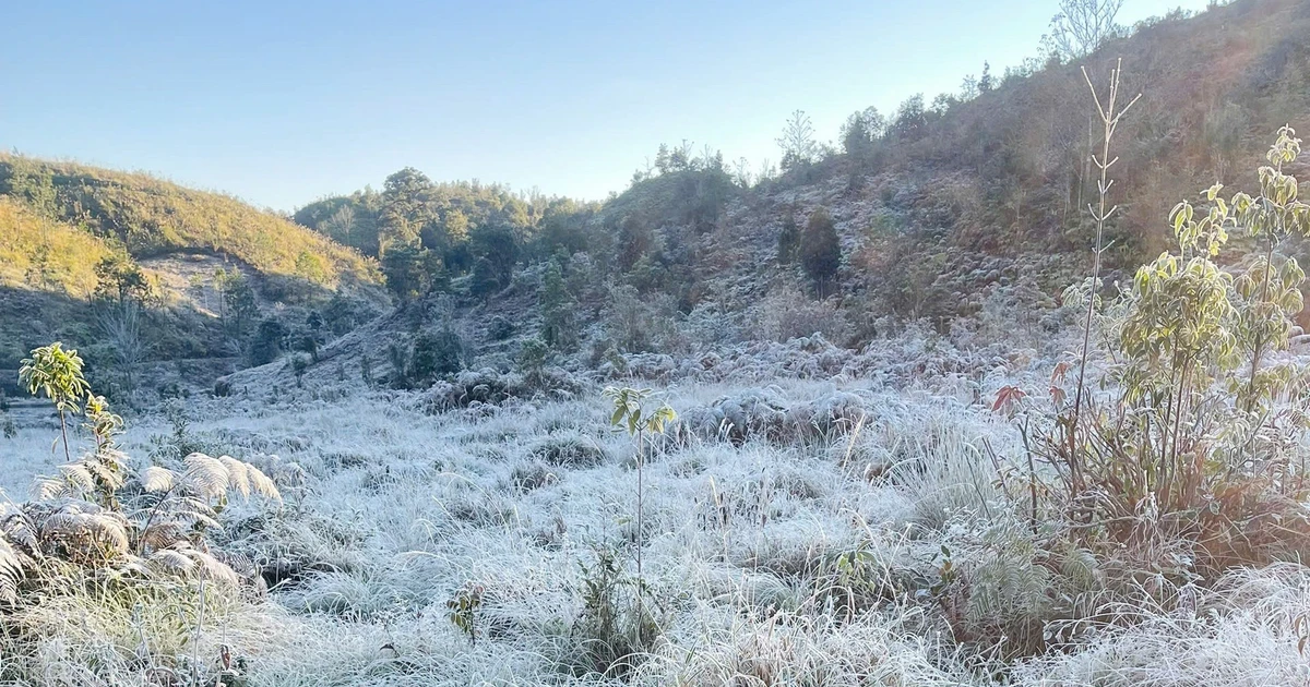 View - Y Tý xuất hiện băng giá, rừng núi hóa thành 'miền cổ tích' buổi sớm | Báo Tri thức và Cuộc sống - TIN TỨC PHỔ BIẾN KIẾN THỨC 24H